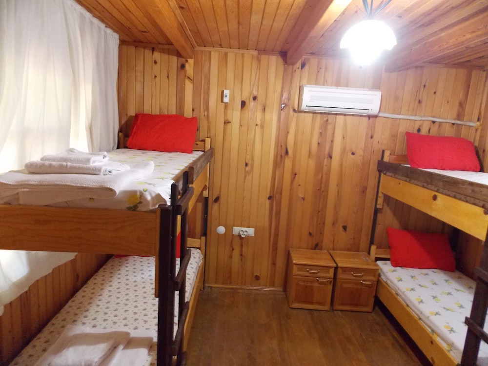Olympos Orange 22/50