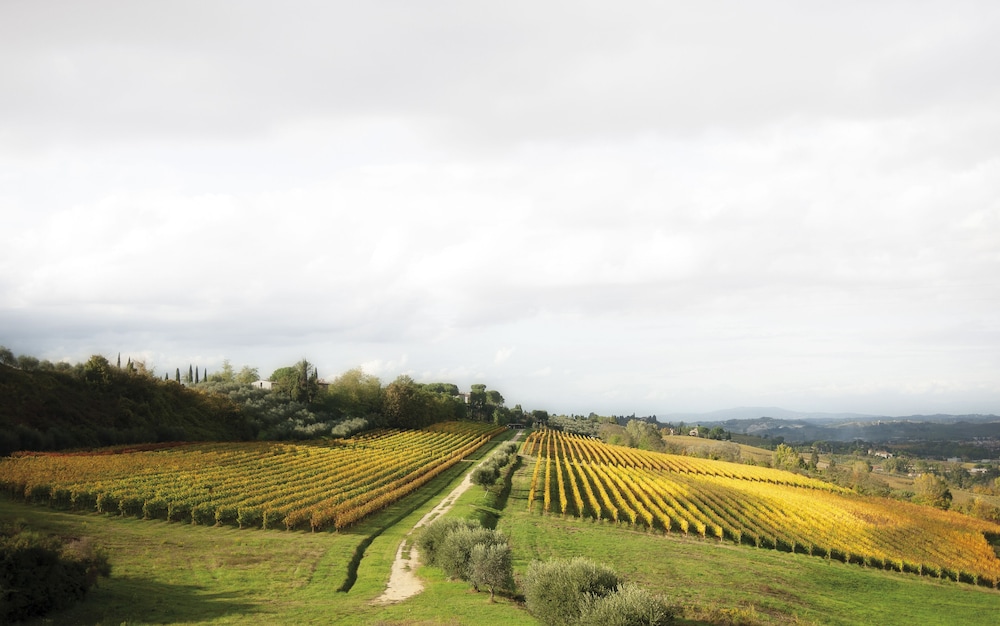 Poderi Arcangelo 71/72