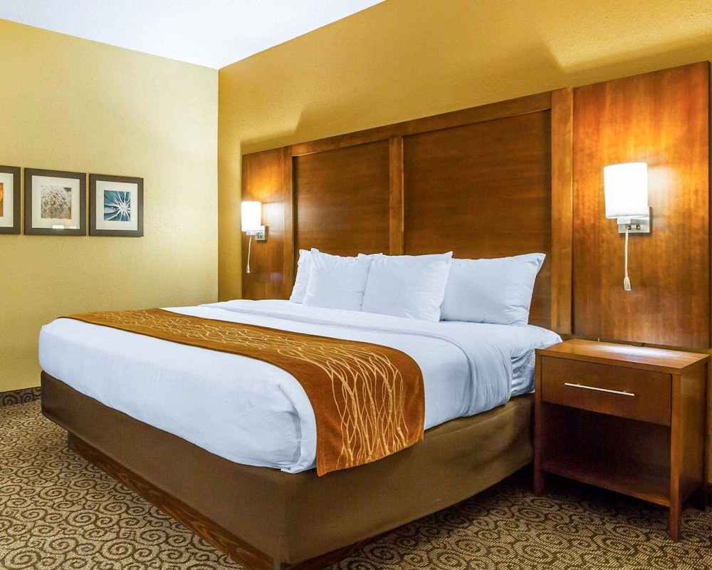 Comfort Suites Ramsey MN 9/31