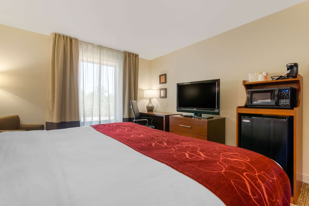 Comfort Inn & Suites Macon West 15/41
