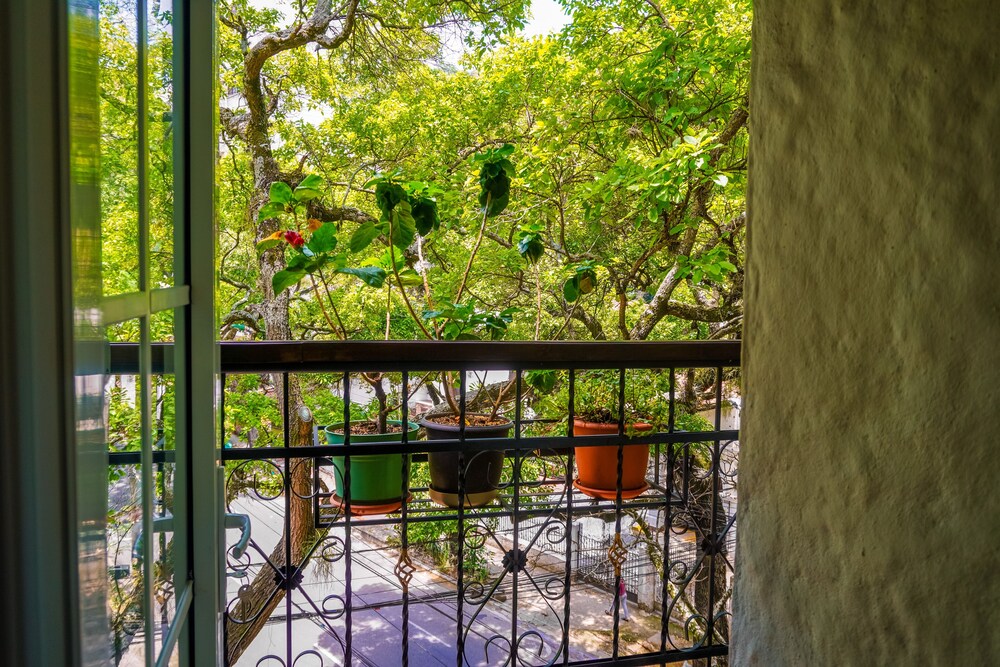 Casa del Hidalgo 49/56