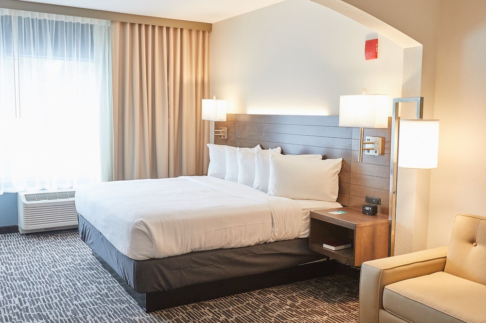 Business, Studio, King Bed
