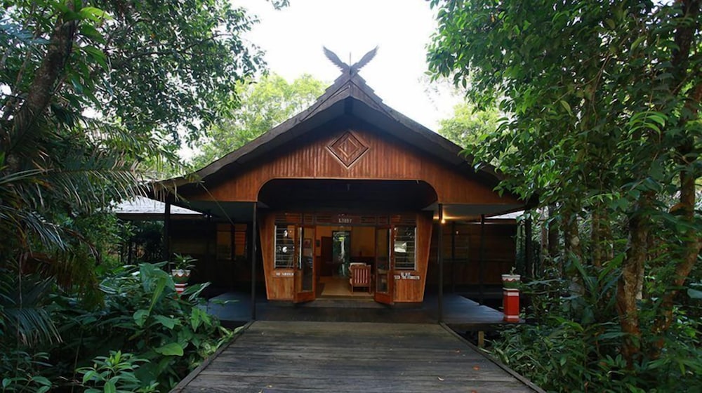 Rimba Orangutan Eco Lodge 3/43