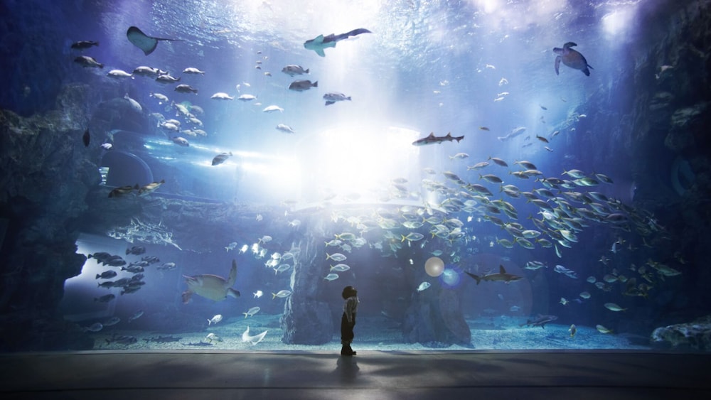SONO CALM YEOSU 31/72