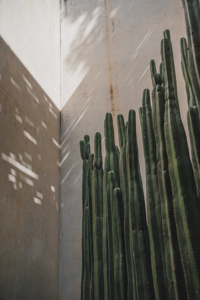 Casa Carmen By Amador Montes 3/41