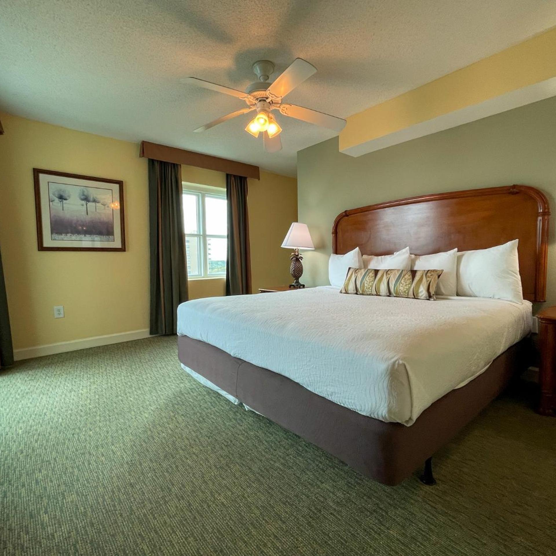 1 Bedroom, Resident View