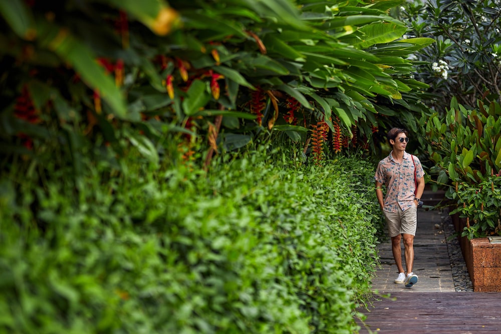 Angkor Green Gardens by Dara 55/70