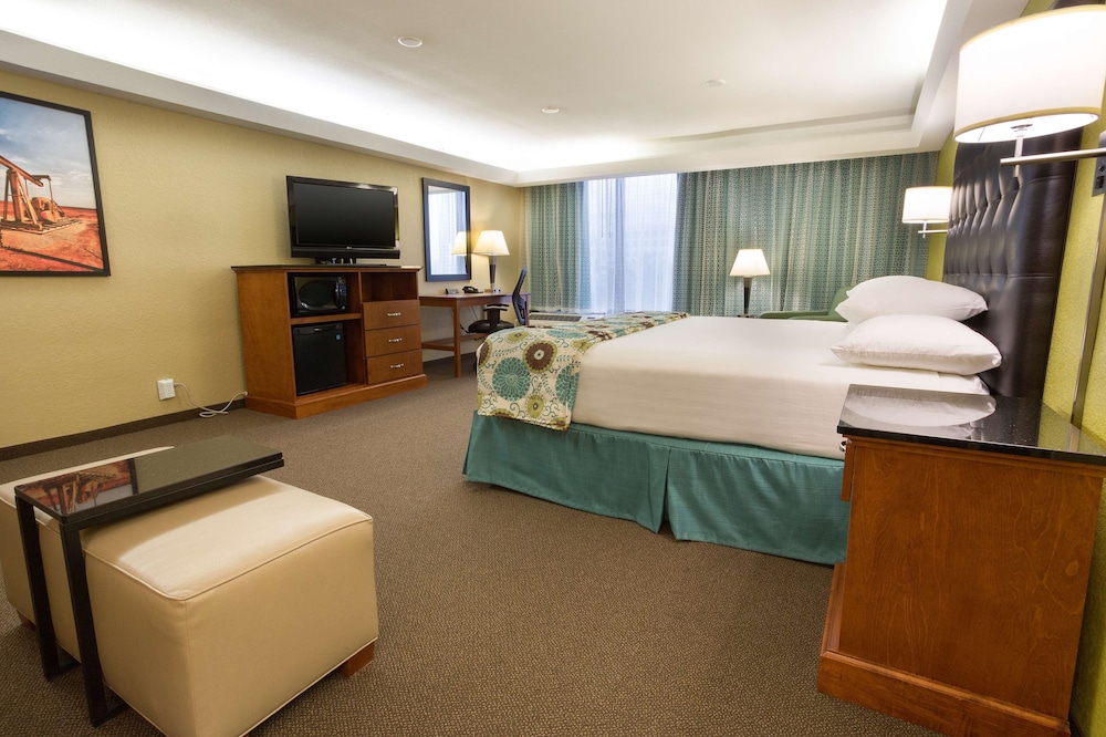 Drury Inn & Suites Near the Galleria Houston 13/49