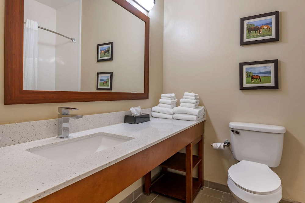 Comfort Suites Keeneland 16/48