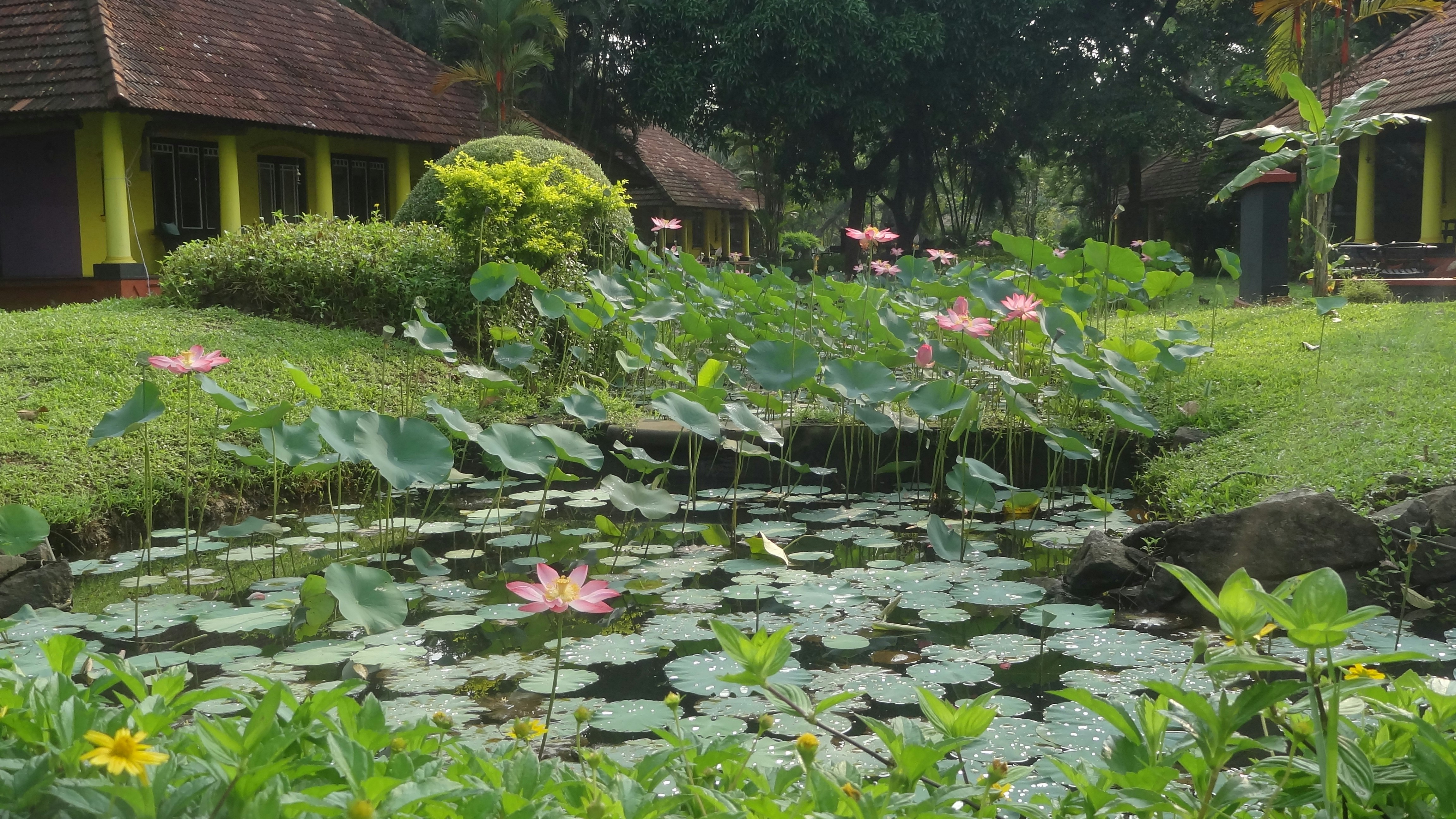 Taj Kumarakom Resort & Spa, Kerala 32/46