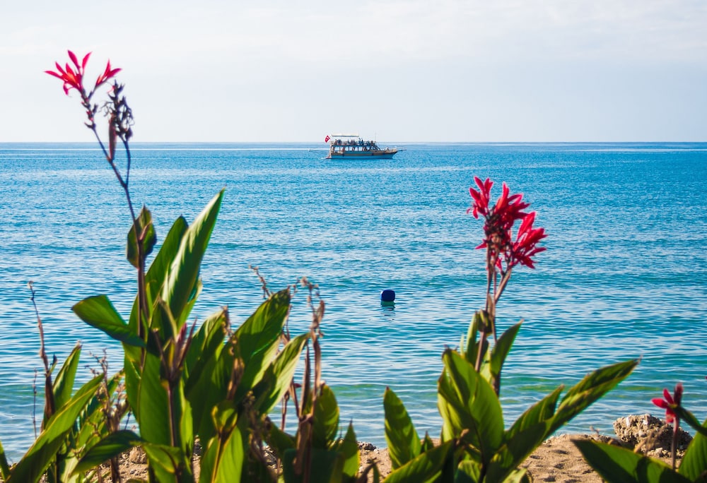 Side Kleopatra Beach Hotel 48/58