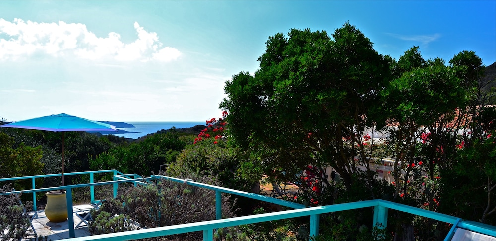 Poecylia Resort 36/39