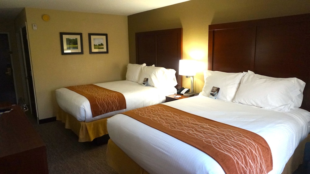 Comfort Inn & Suites Greenwood Near University 14/66