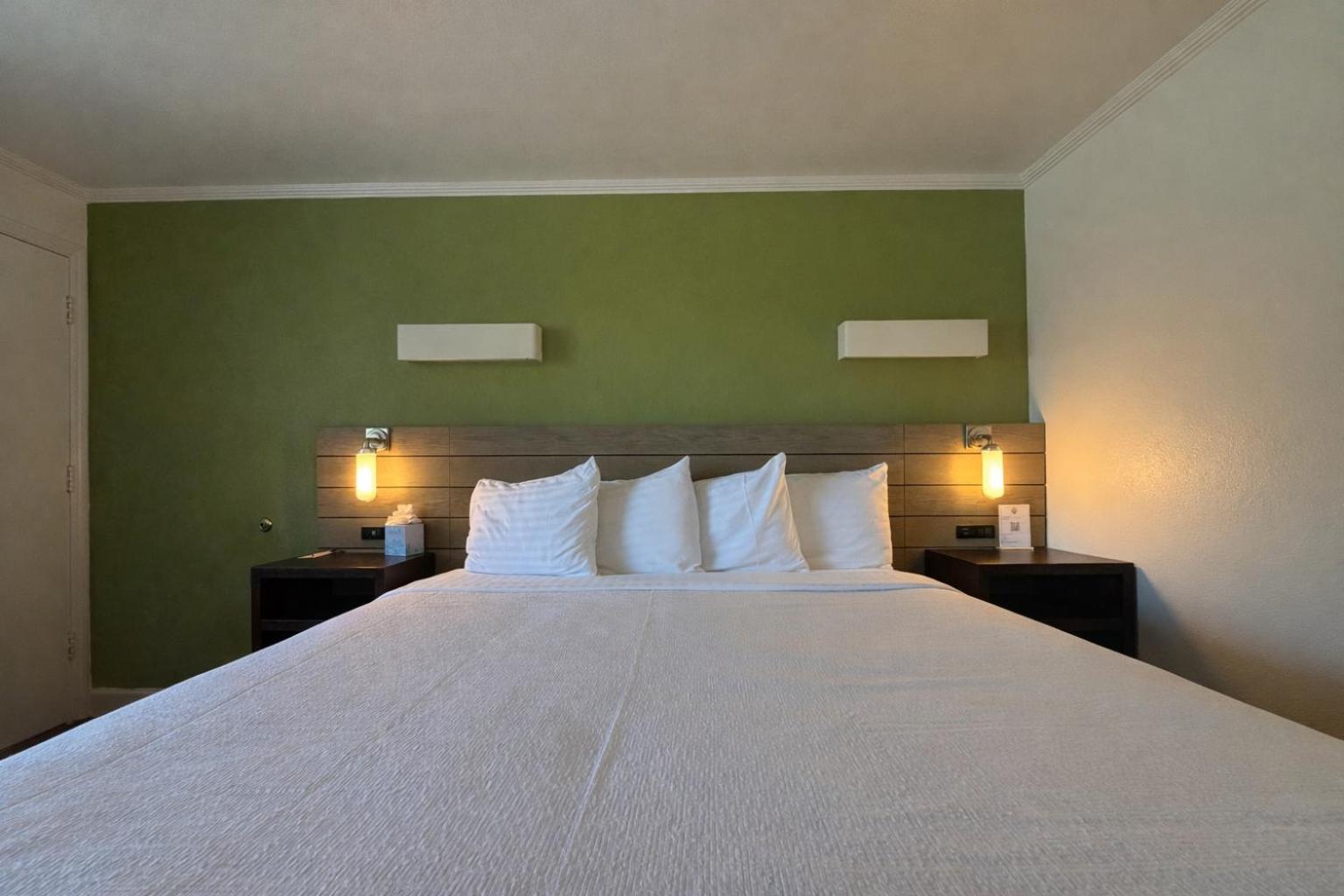 Room, King Bed