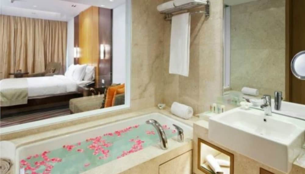HOLIDAY INN MUMBAI INTERNATIONAL AIRPORT 17/72