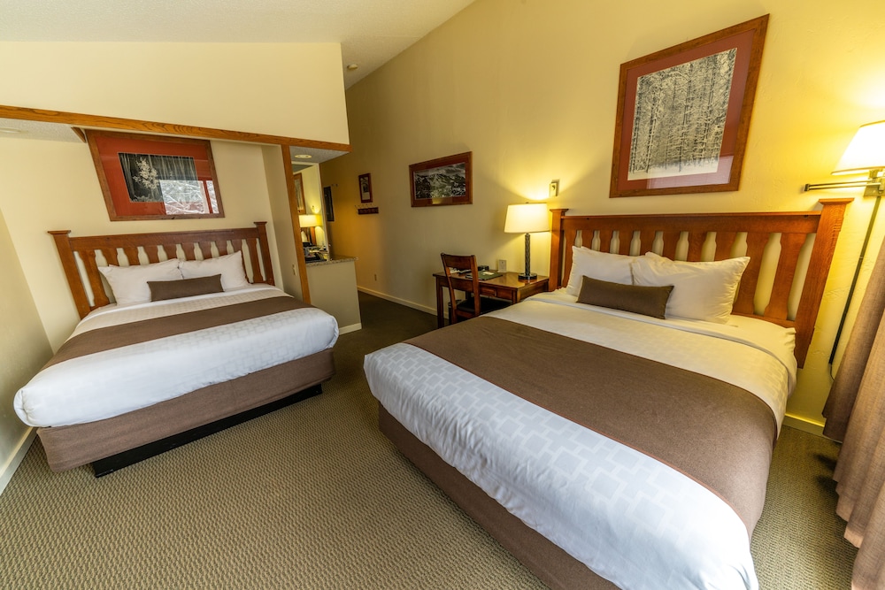 Pokolodi Lodge 19/38