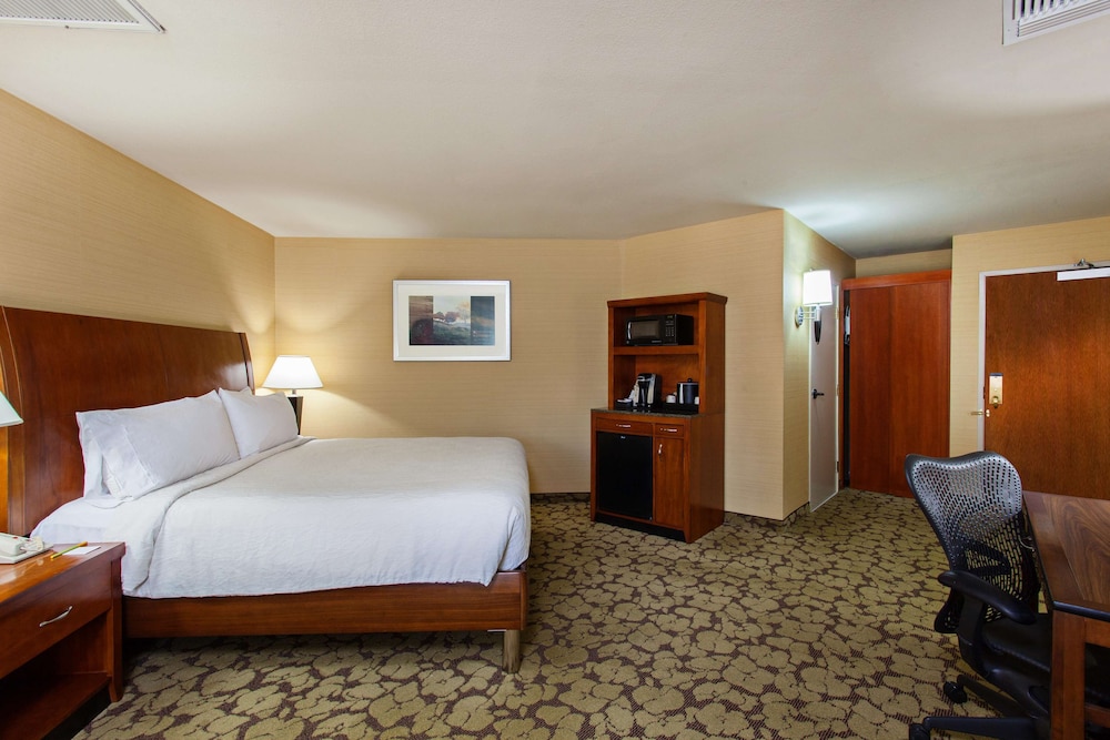 Hilton Garden Inn Valencia Six Flags 14/52