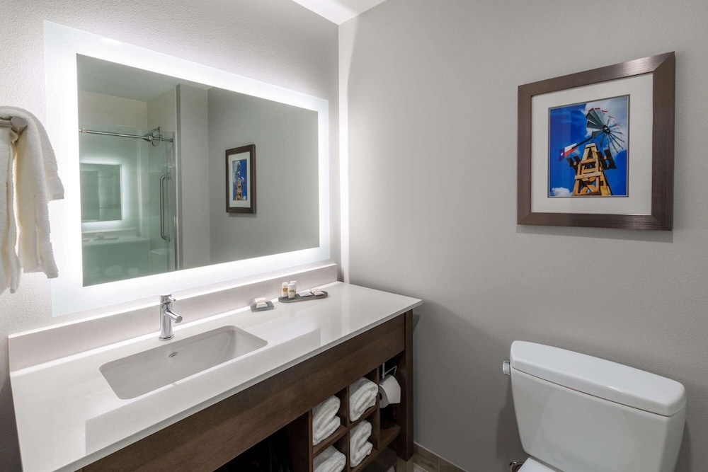 La Quinta Inn and Suites by Wyndham Round Rock East 18/43
