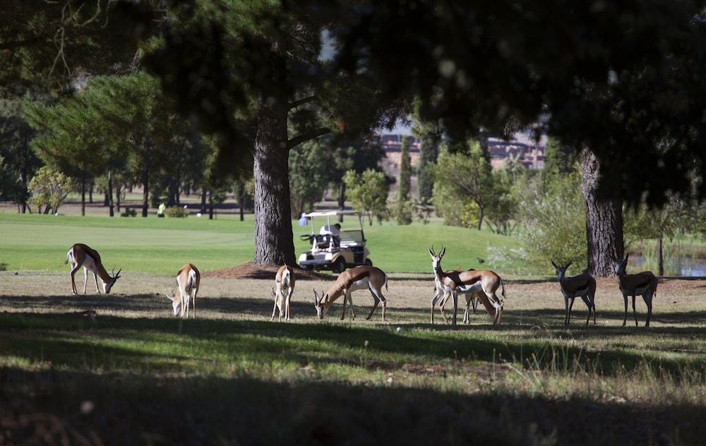 Devonvale Golf and Wine Estate 47/50