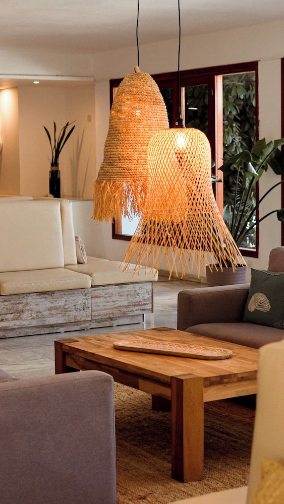 Sentido Fido Tucan - Adults Only 11/50