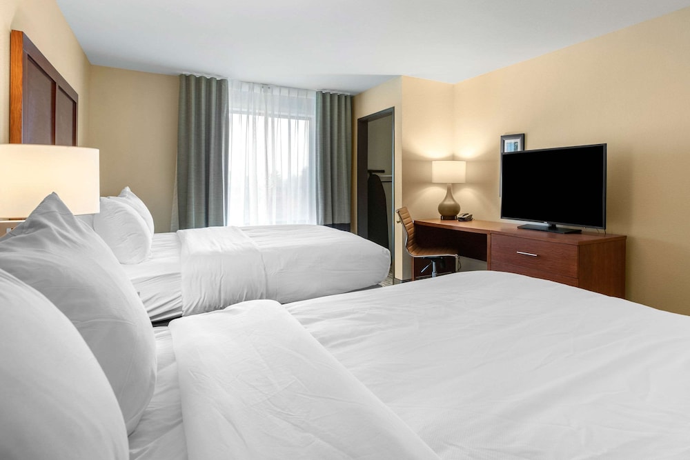 Comfort Inn and Suites Ames Near ISU Campus 14/41
