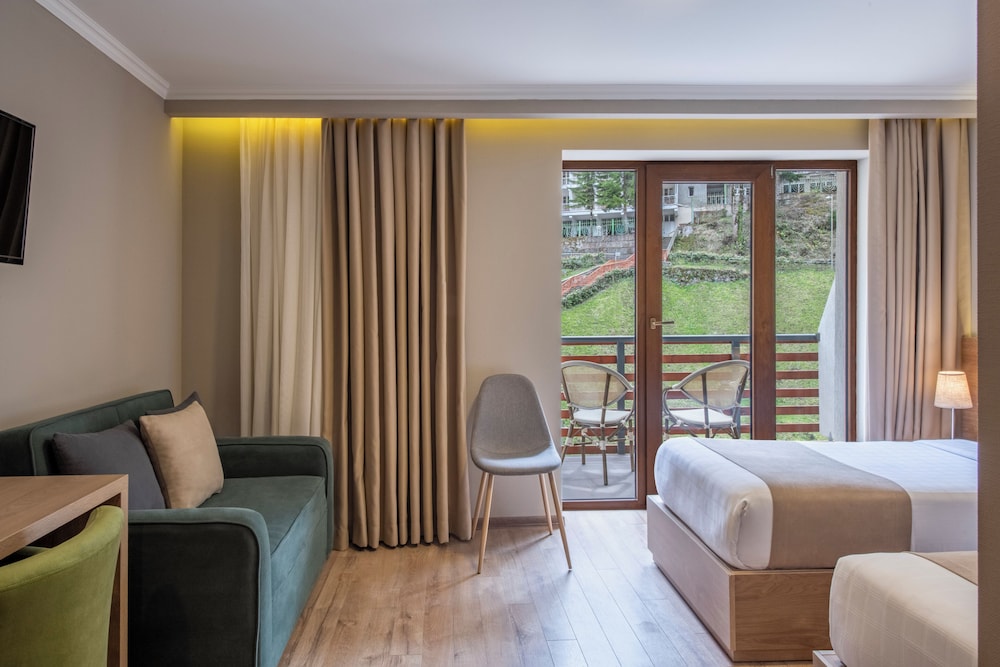 Sairme Hotels & Resorts 12/37
