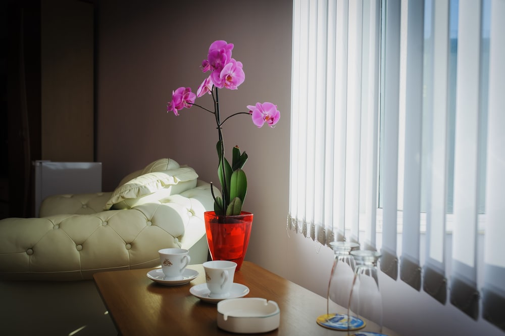 Villa Arus Hotel 35/63
