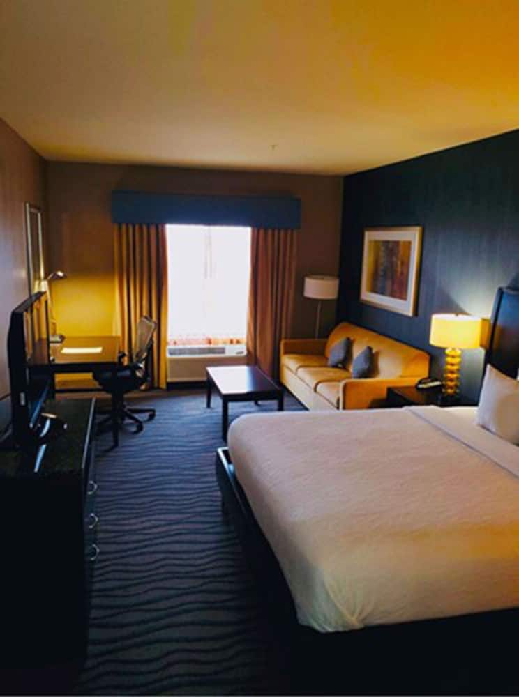 Hilton Garden Inn Fort Worth Alliance Airport 14/59