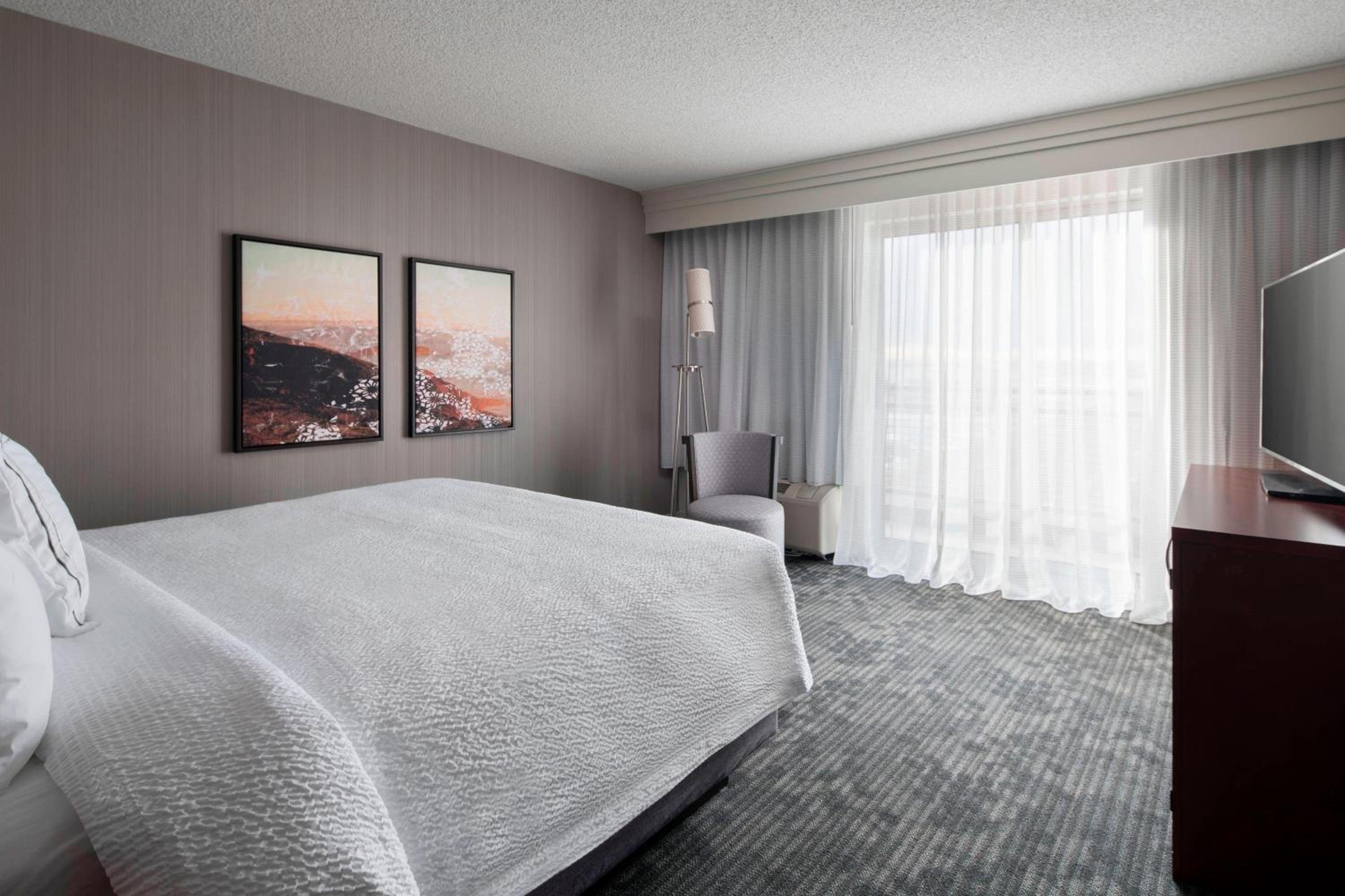 1 Bedroom, Conference, Suite, King Bed, Sofa