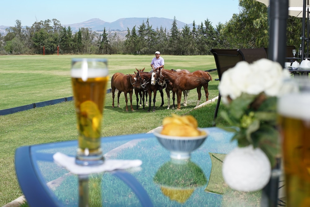 La Palma Polo Hotel 16/46