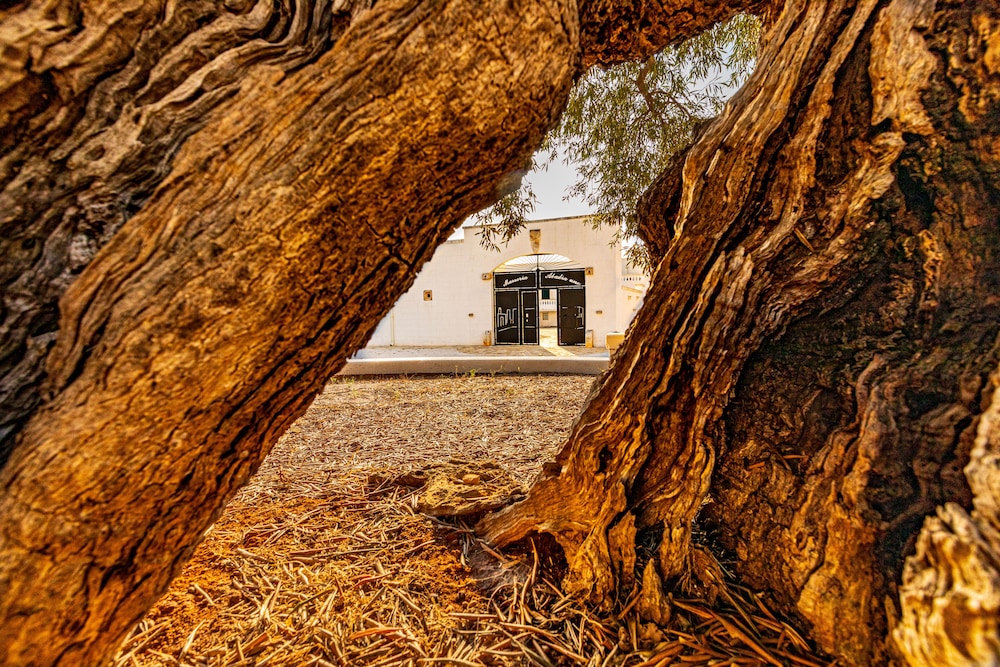 Masseria Abadia Uno 55/64