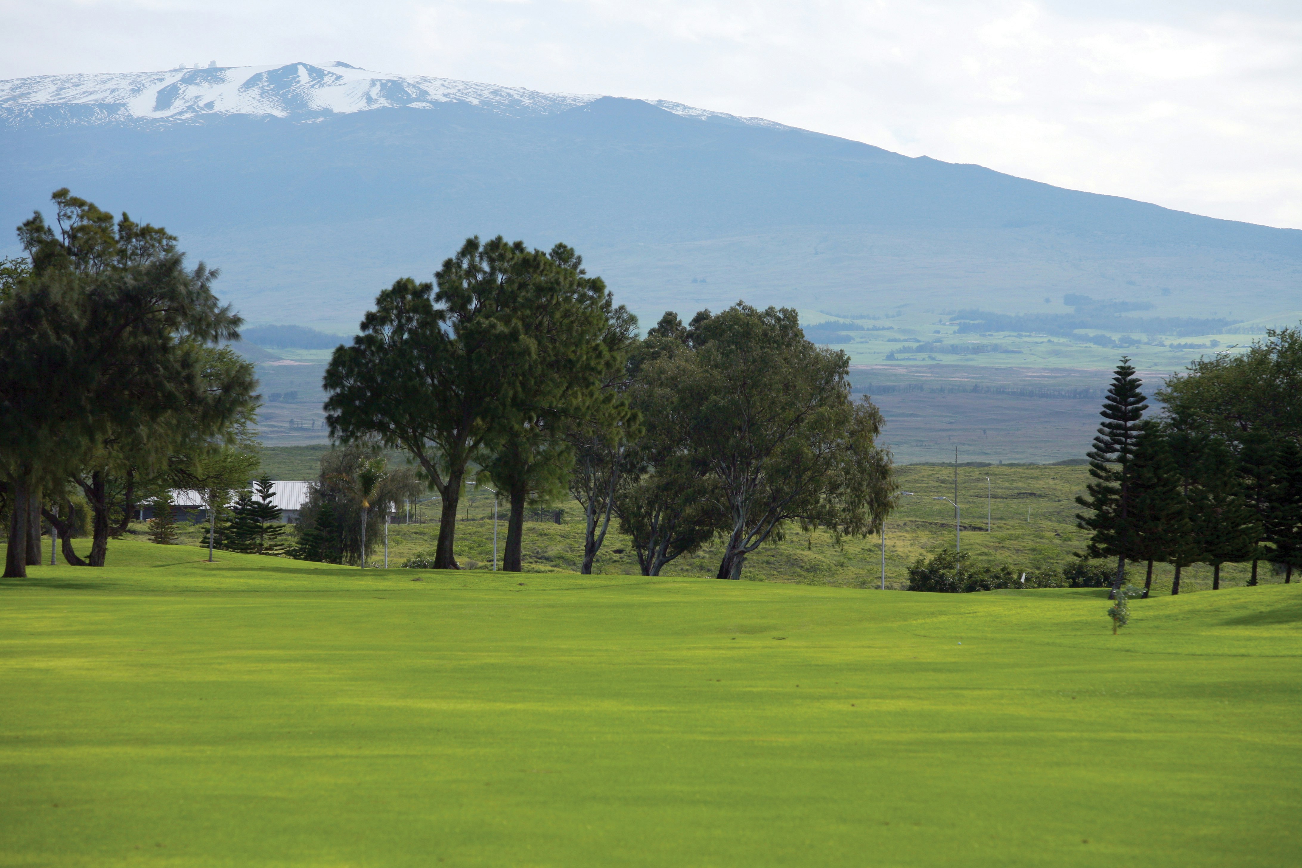 Paniolo Greens at Waikoloa Village 45/79