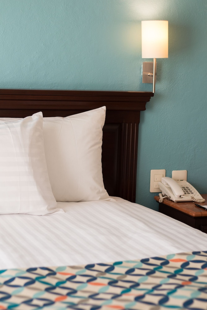 HG HOTEL photo2