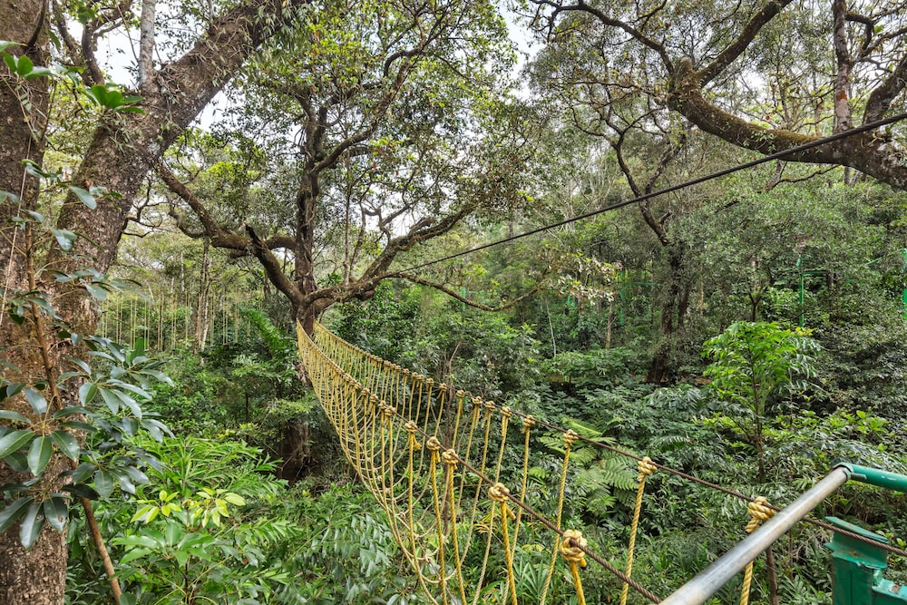 Club Mahindra Madikeri, Coorg 42/50