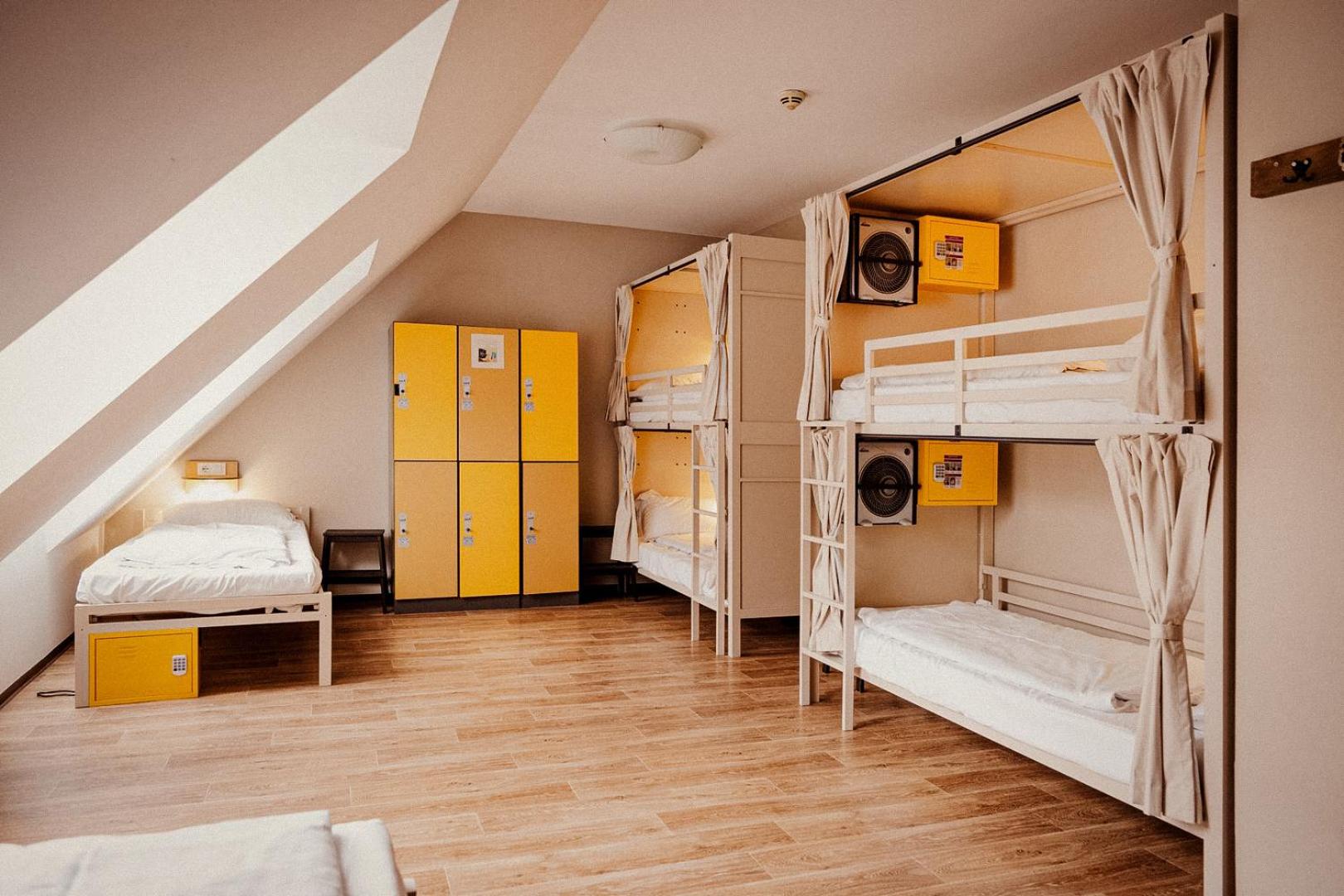 Mixed Dorm, Social, 6 Beds