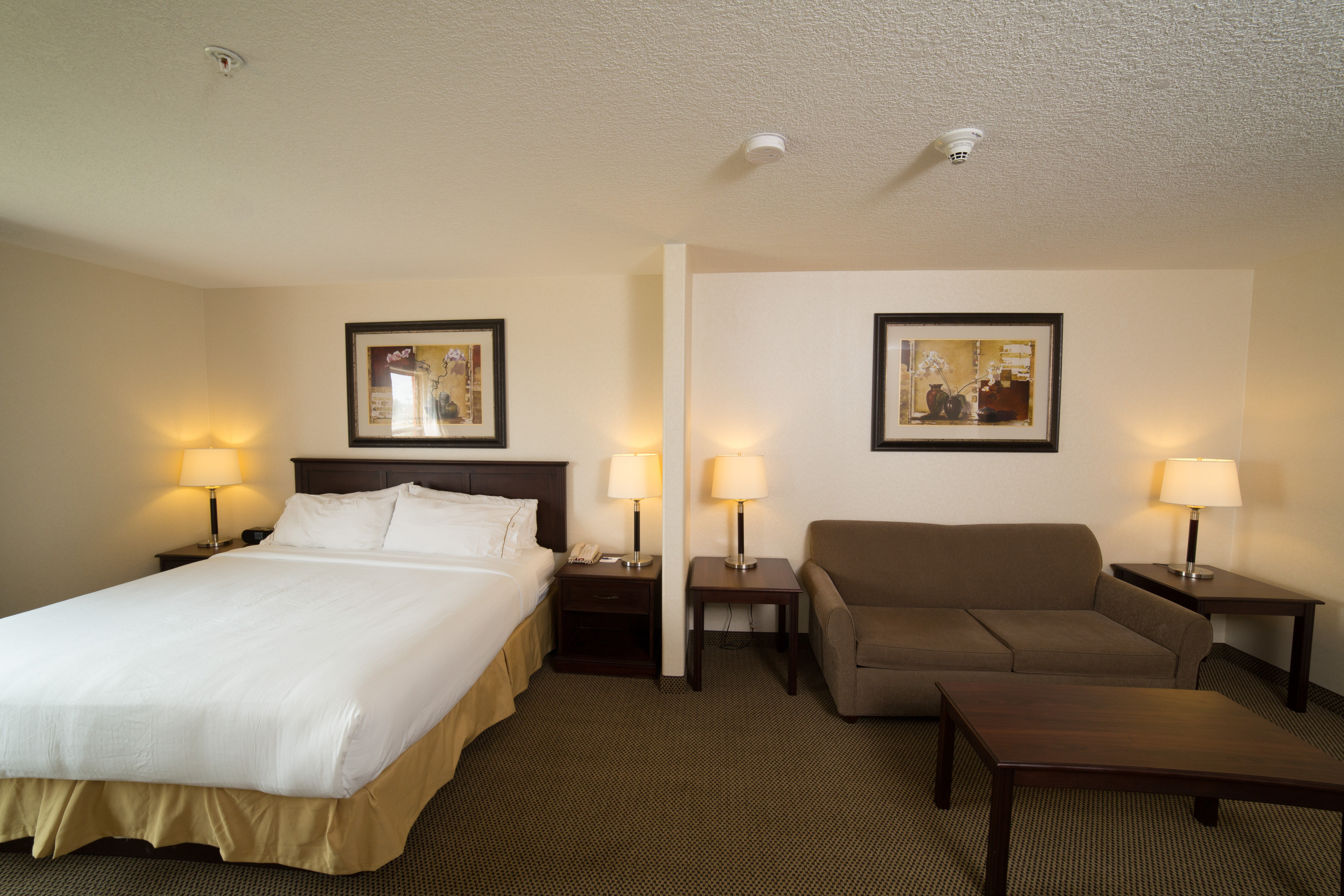 Holiday Inn Express Hotel Suites Whitecourt Southeast 29/78