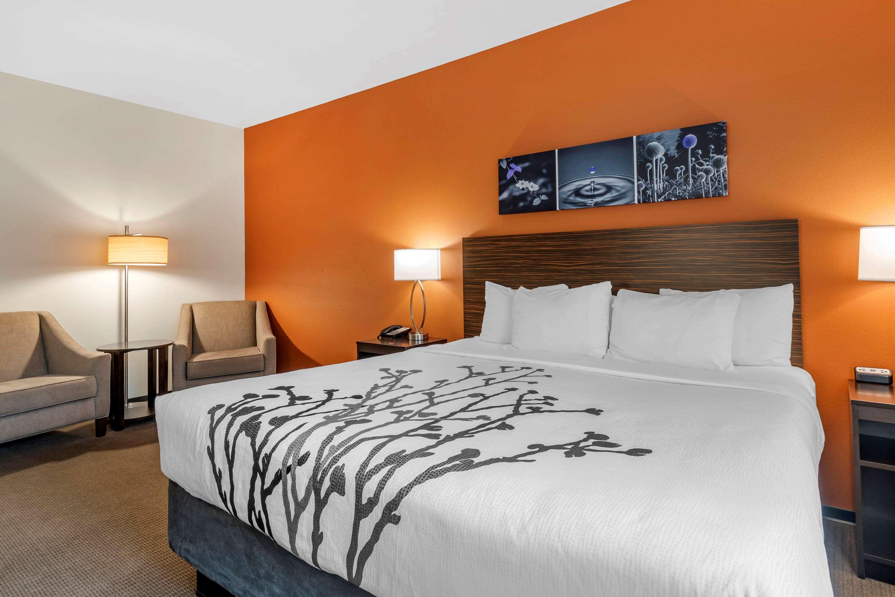 ROOM, KING BED