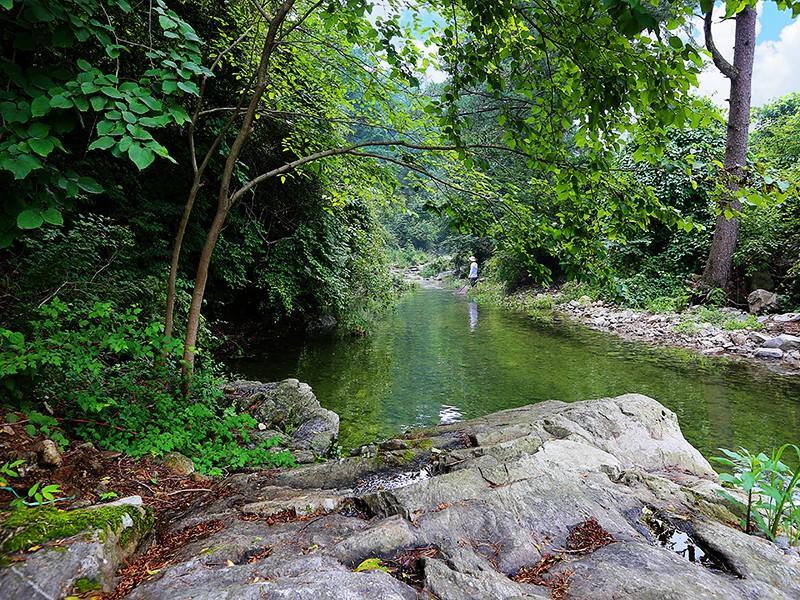 Gapyeong Animal Caravan Pension 34/37