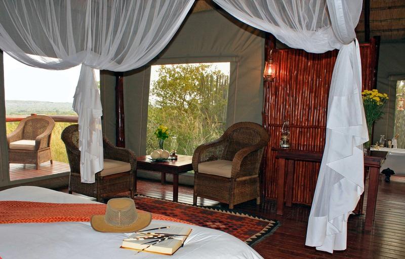 Safari Suite