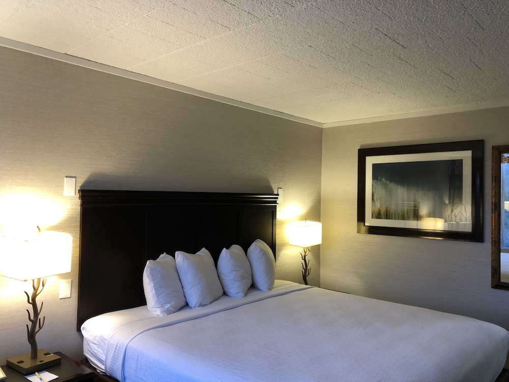 Quality Inn Bath NY 13/24