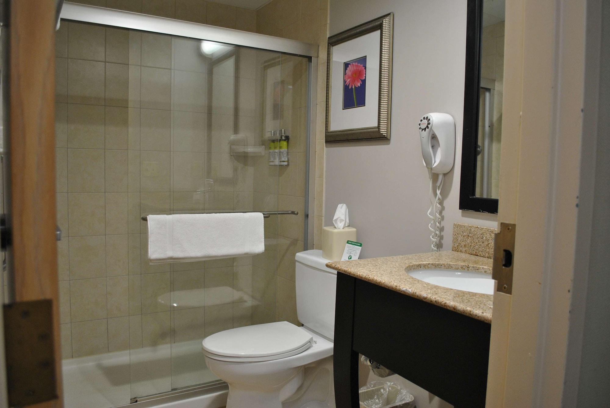 غرفة قياسية بسرير كينج مع أريكة، Best Western Owego Inn 4/6