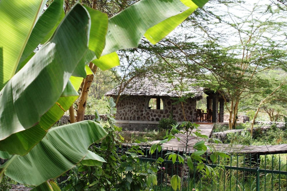 Kiboko Lodge 34/44