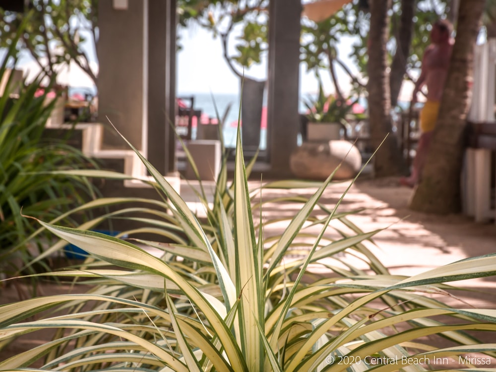 Central Beach Inn 47/50