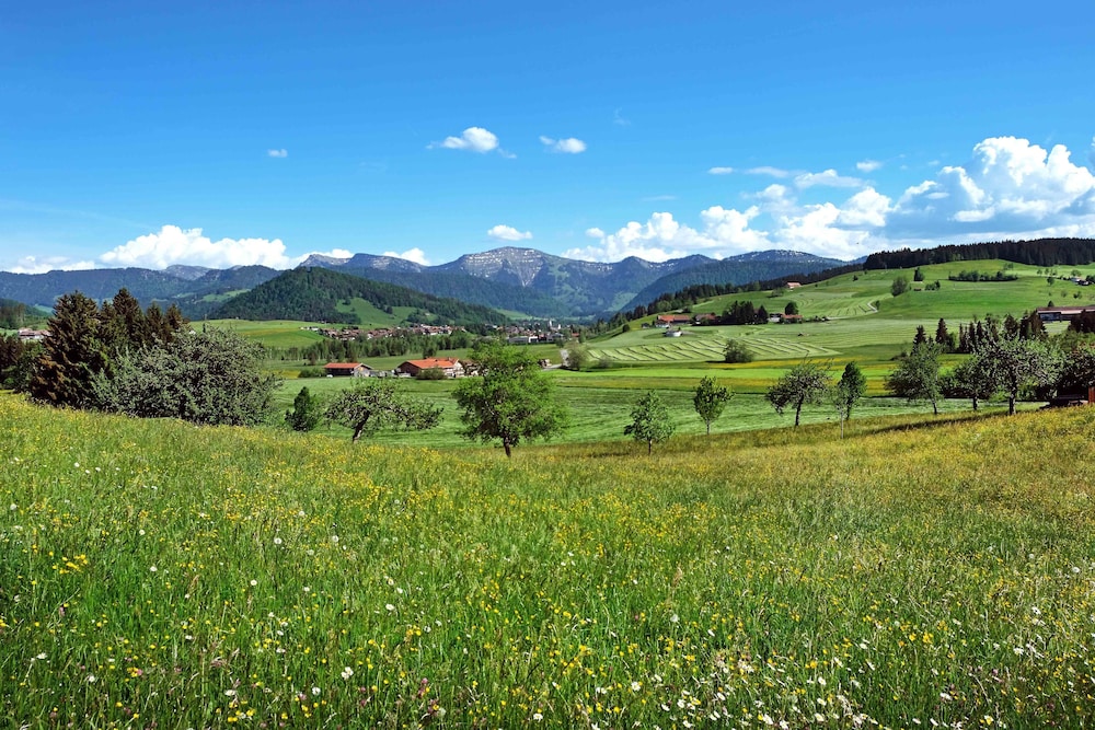 Allgau Sonne 38/50