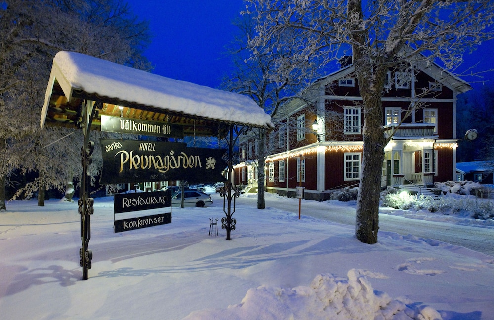 Hotell Plevnagården 3/36