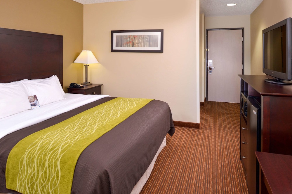 Holiday Inn Express And Suites Joplin Southeast by IHG 21/58