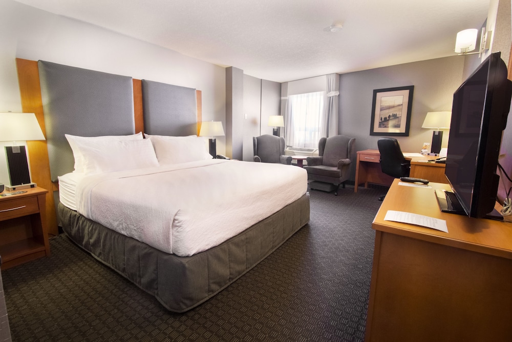 Holiday Inn Calgary- Airport 23/65