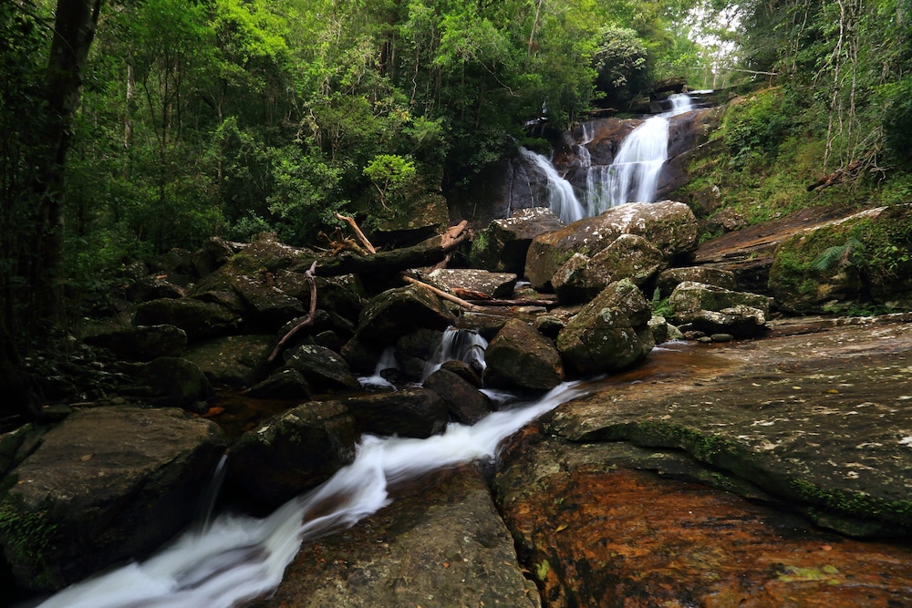 Rainforest Eco Lodge 30/41