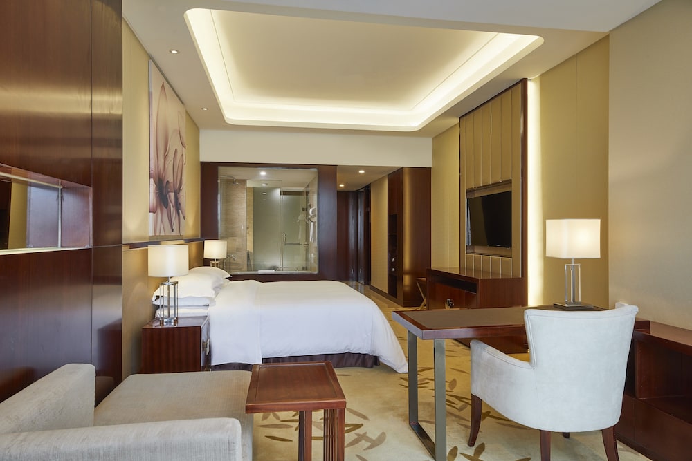 Four Points By Sheraton Liupanshui 20/54