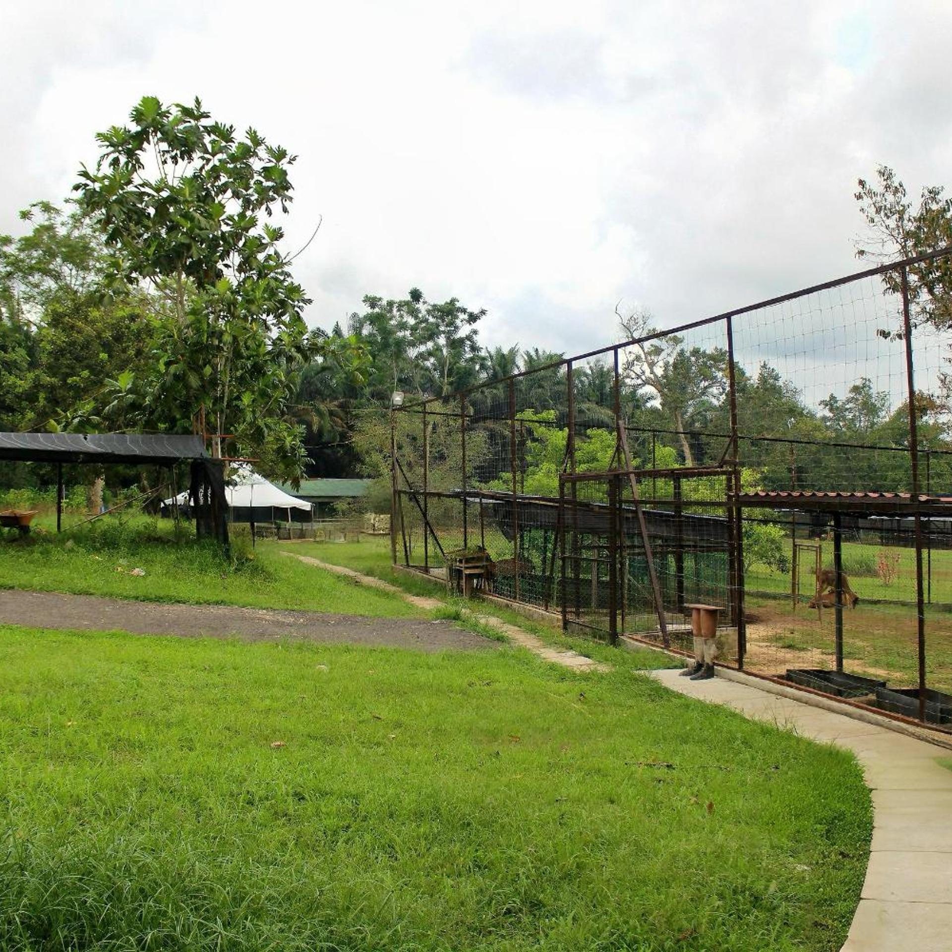 Savanna Hill Resort 14/17